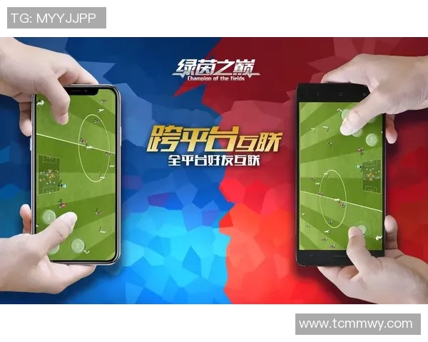 竞技场之巅：探索现代竞技文化与人类极限的碰撞与融合